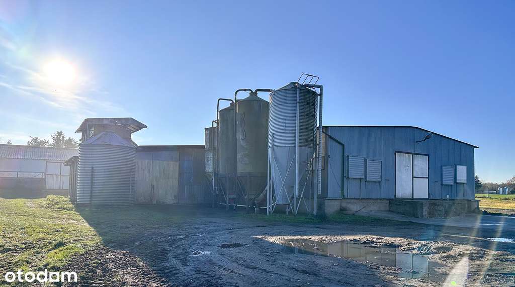 Częściowo zabudowana rolno-produkcyjna - Pełny obrazek: 4/18