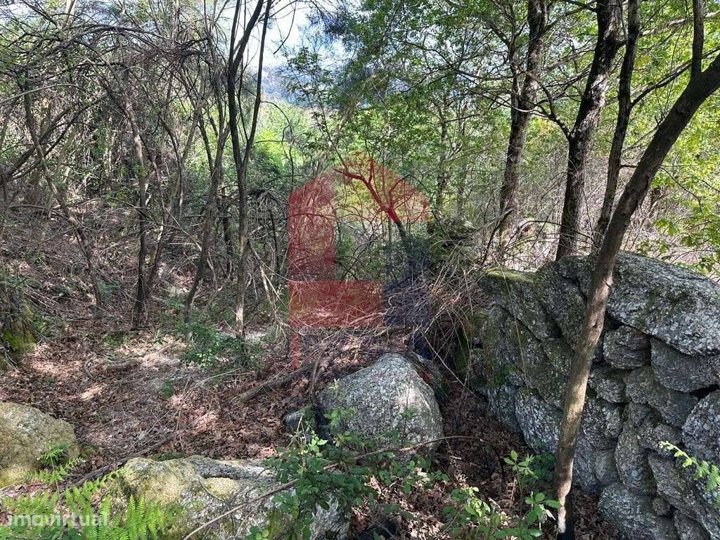 Terreno, Valdreu - Grande imagem: 5/31