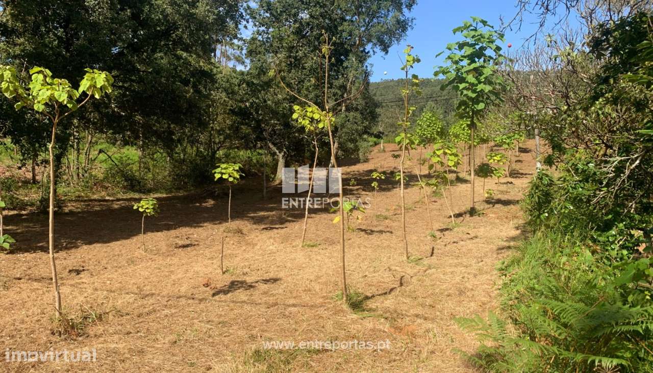 Terreno para venda, Orbacém, Caminha - Grande imagem: 3/9