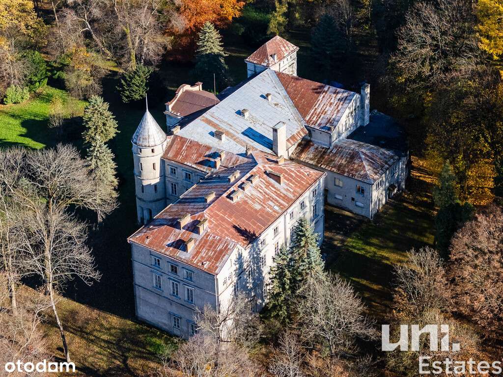 Wyjątkowy Pałac Ostaszewskich | Wzdów | Okazja-6