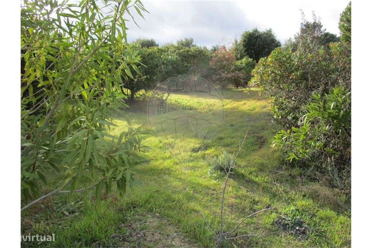 Quinta T0 para venda - Grande imagem: 2/31