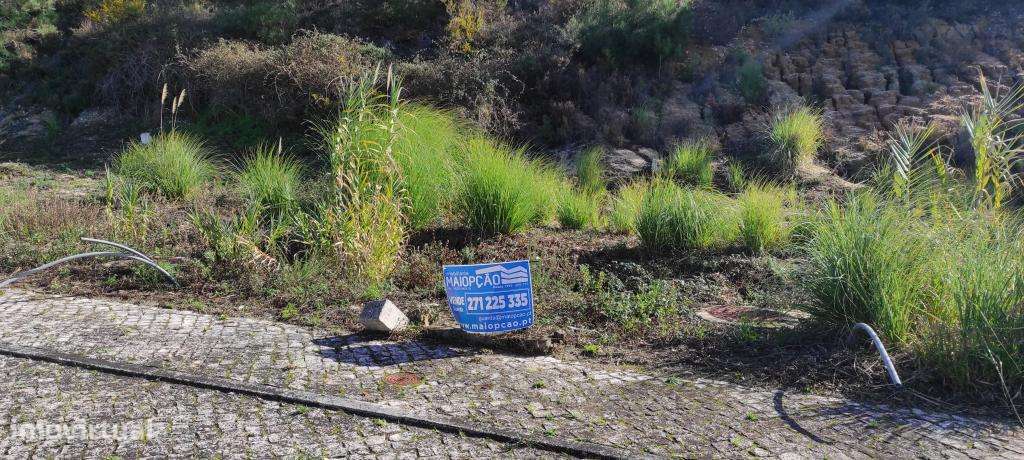 OPORTUNIDADE LOTE AZAMBUJA - Grande imagem: 4/5