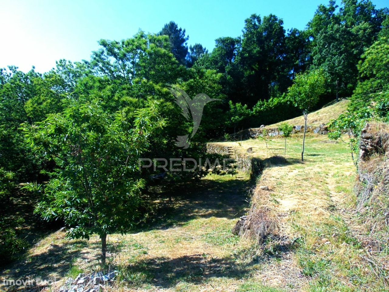 Quintinha  c/ 1ha às portas da cidade de Vila Real