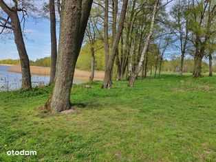 Działka 15 minut od jeziora luterskiego - Mazury.