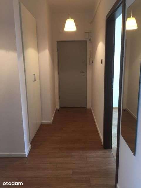 2 osobne pokoje z widną dużą kuchnią w centrum 2