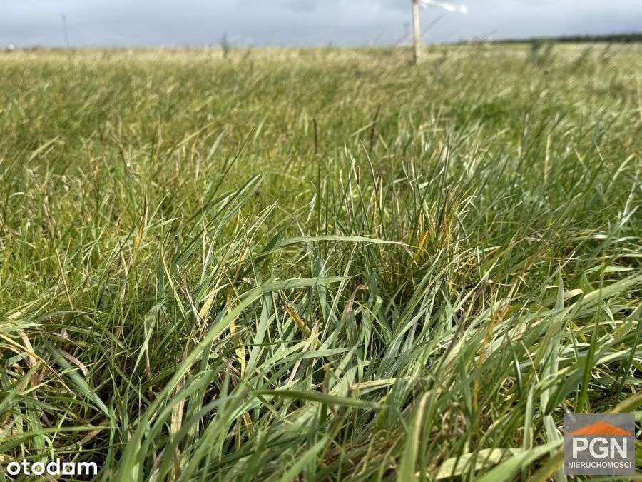 Działka Rolno-Budowlana z Warunkami Zabudowy, 15 k - Pełny obrazek: 4/10