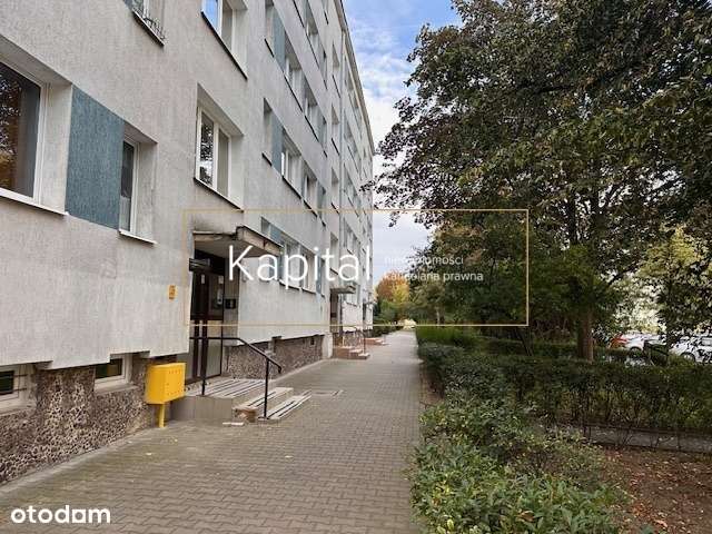 Osobna kuchnia, centrum, zielono, słoneczne;-0