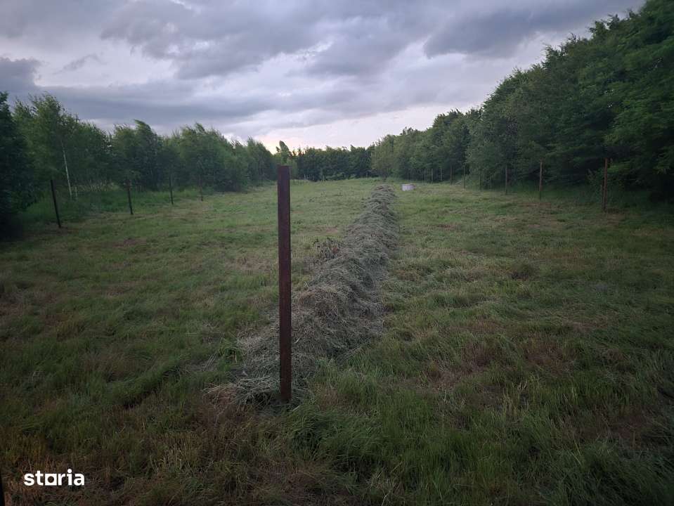 Teren intravilan | 2000 mp | de vanzare- Valea Avrigului - Imagine principală: 3/6