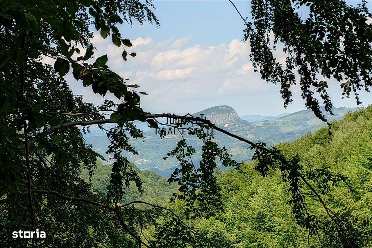 Teren montan cu priveliste si izvor - 5727mp in Buces, langa padure - Imagine principală: 4/14