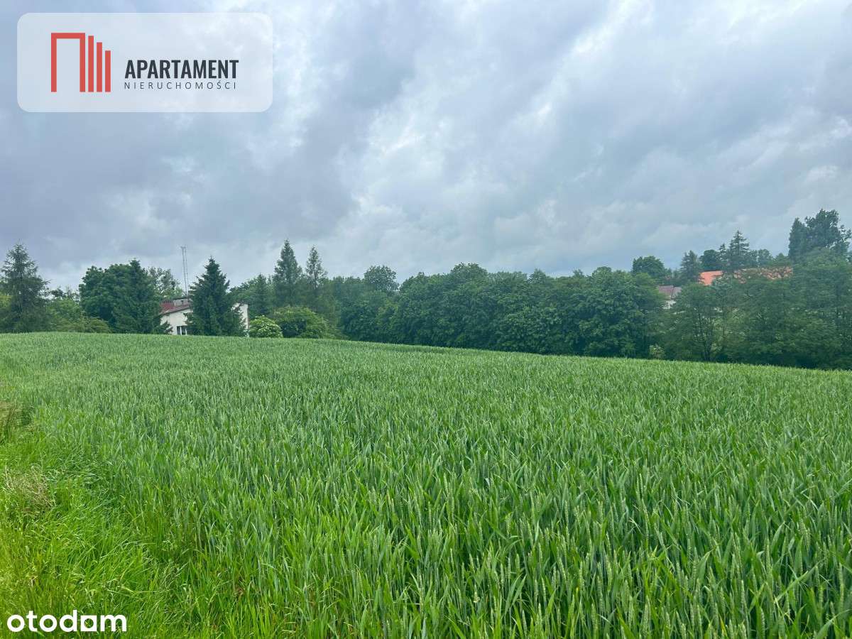 Działka z warunkami zabudowy Koniecwałd - Pełny obrazek: 4/7