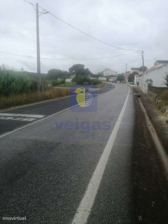 Moradia T2 São João da Ribeira - Grande imagem: 5/9