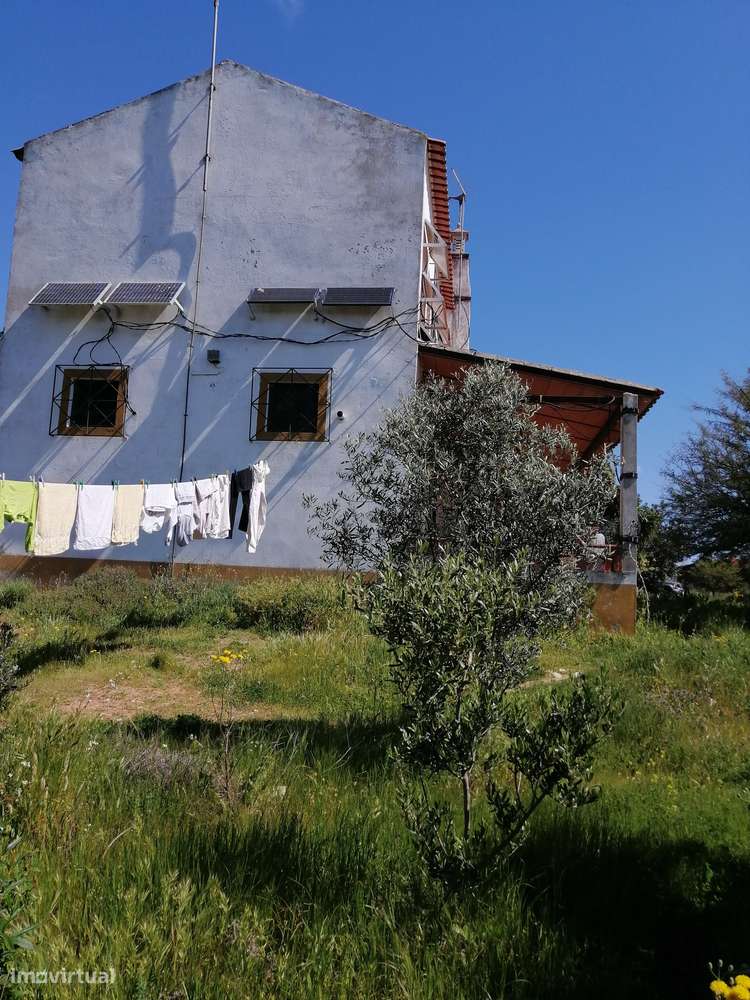 Terreno rústico de 25.000m² com acesso não pavimentado - Grande imagem: 3/9