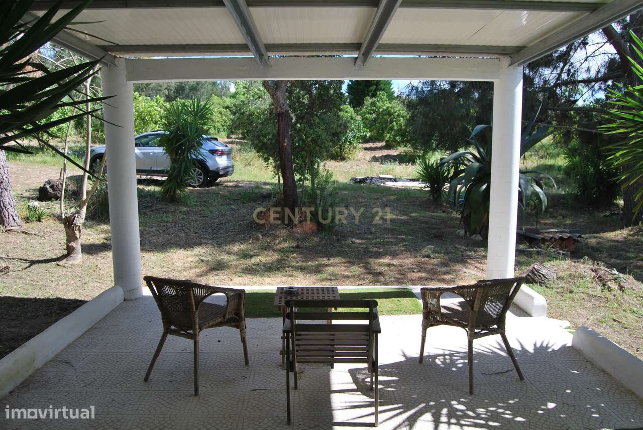 Terreno rústico 28200m2 em Vale do Junco, Chamusca, Golegã-15