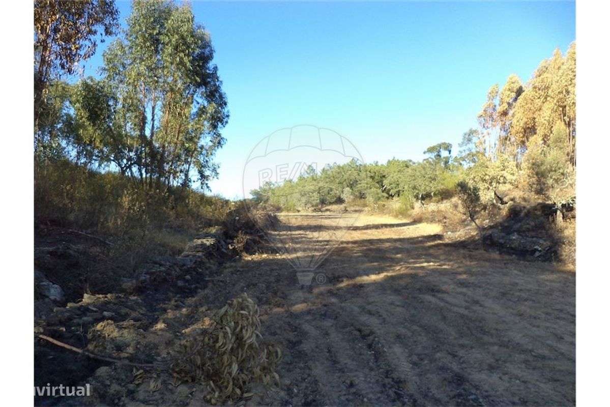 Quinta T0 para Venda - Grande imagem: 5/9