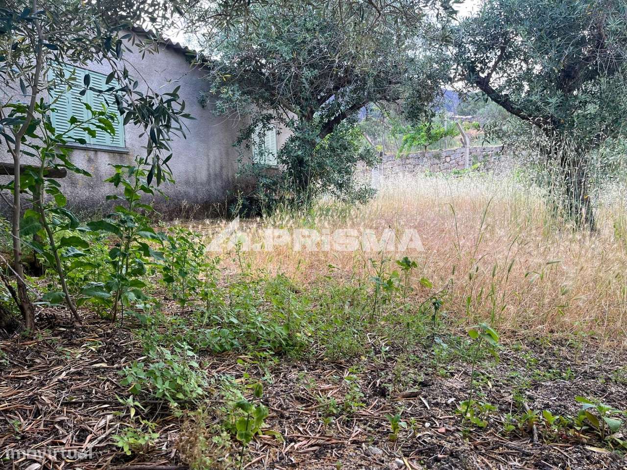 Quintinha para venda em Louriçal do Campo, Castelo Branco-12