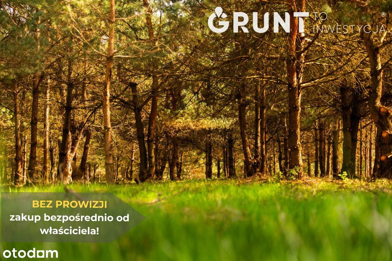 Wyjątkowa oferta na Jurze! - Pełny obrazek: 5/12