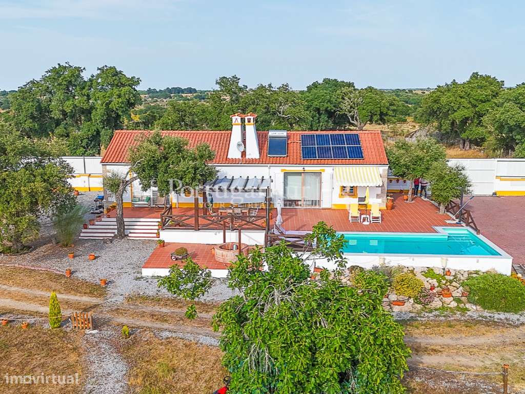 Quinta de 4.000m2 com Moradia T2, piscina e casa secundária - Grande imagem: 5/47