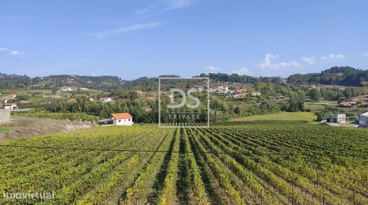 Terreno, 940 m², Freixo de Cima e de Baixo - Grande imagem: 4/8