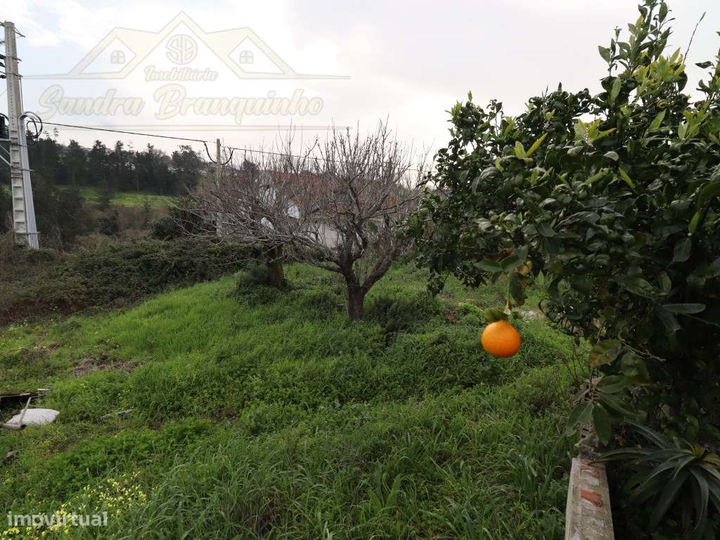 Moradia T3 com garagem e terreno 4120m2-33