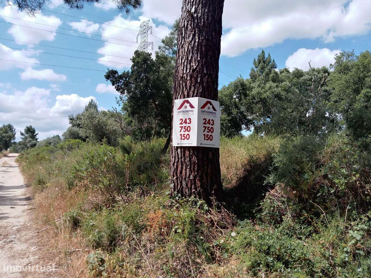 Terreno Rústico  Venda em Vale de Santarém,Santarém - Grande imagem: 4/12
