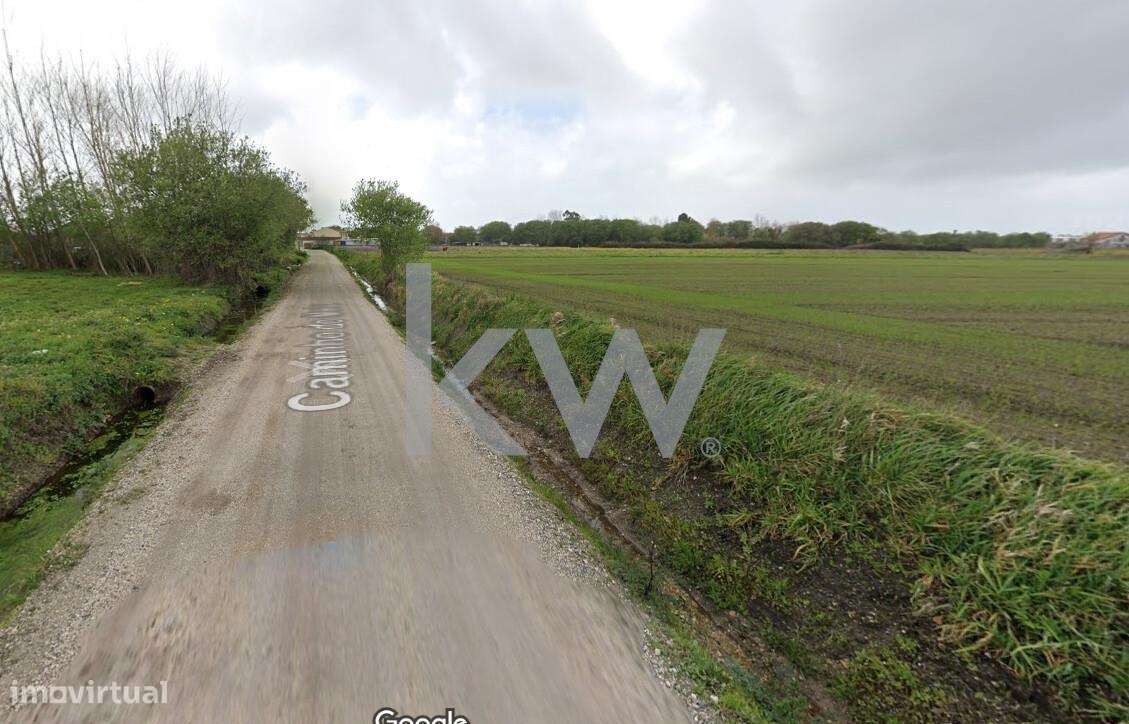 Terreno rústico com 3640m2 na Légua em Ílhavo - Grande imagem: 5/7