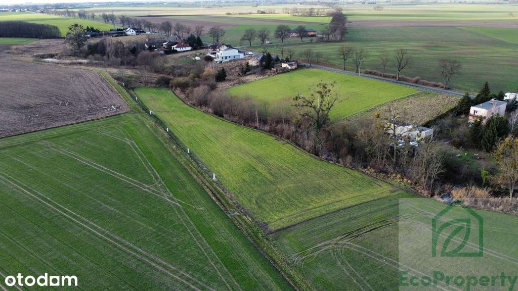 Atrakcyjna działka budowlana Napachanie/Rokietnica - Pełny obrazek: 4/8