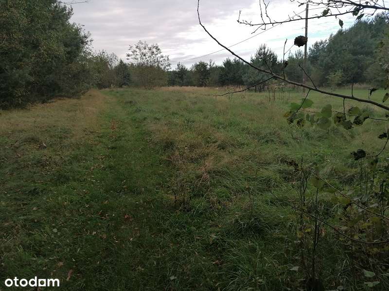 Działka w Przechodzie-2