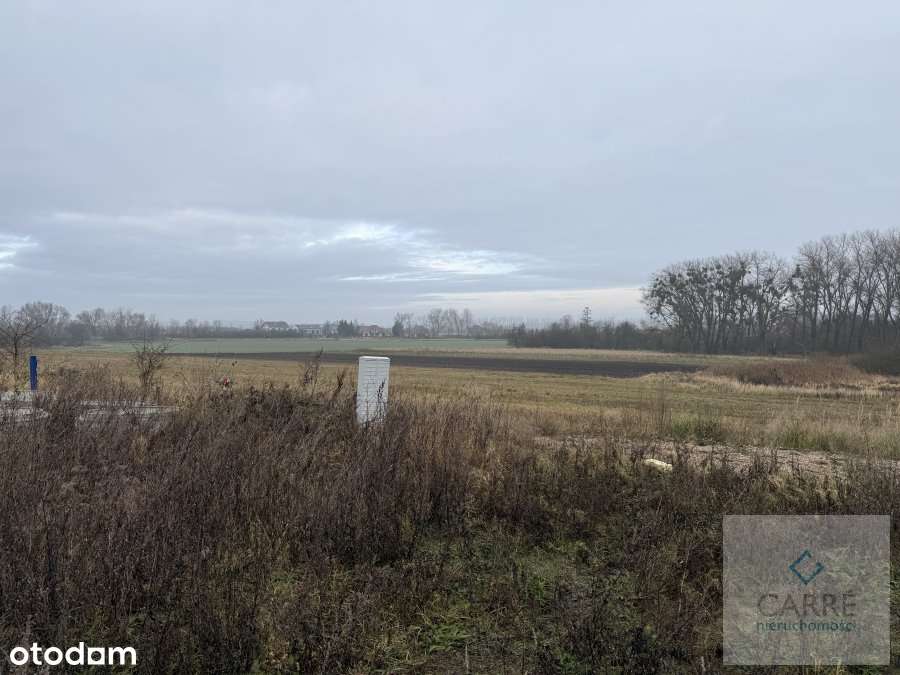 Działka w Warzymicach. - Pełny obrazek: 5/7