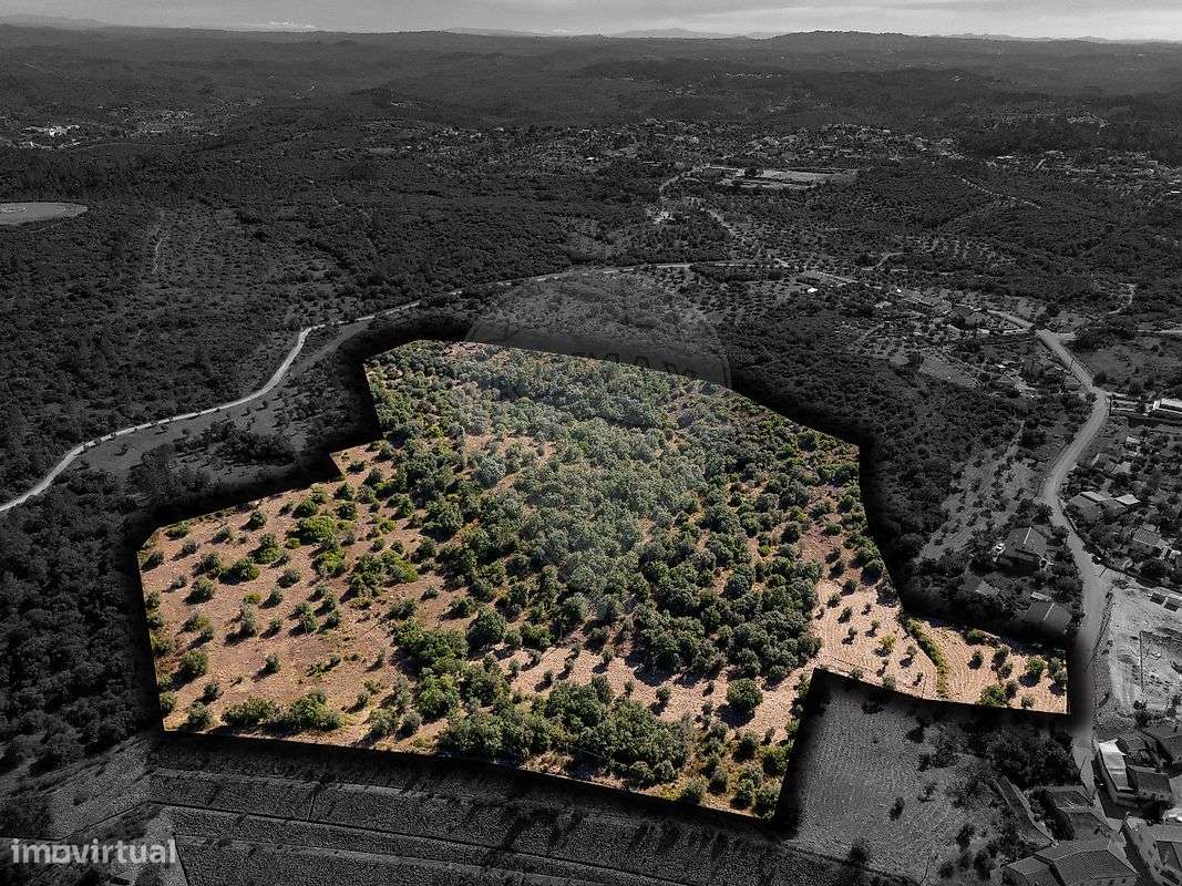 Terreno  para venda - Grande imagem: 4/5