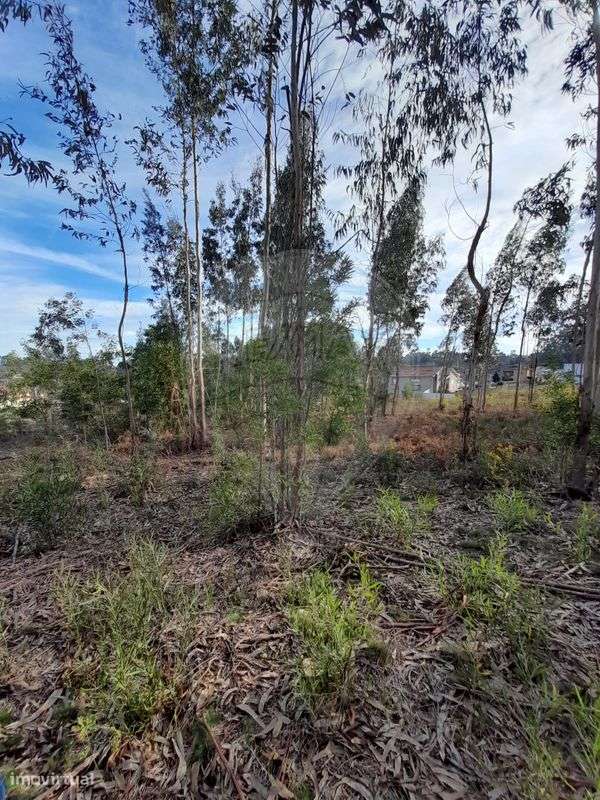 Terreno  para venda - Grande imagem: 5/6