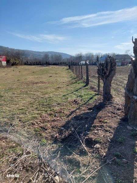 2510 mp teren  - strada Luceafarului, Pucioasa - Imagine principală: 5/6