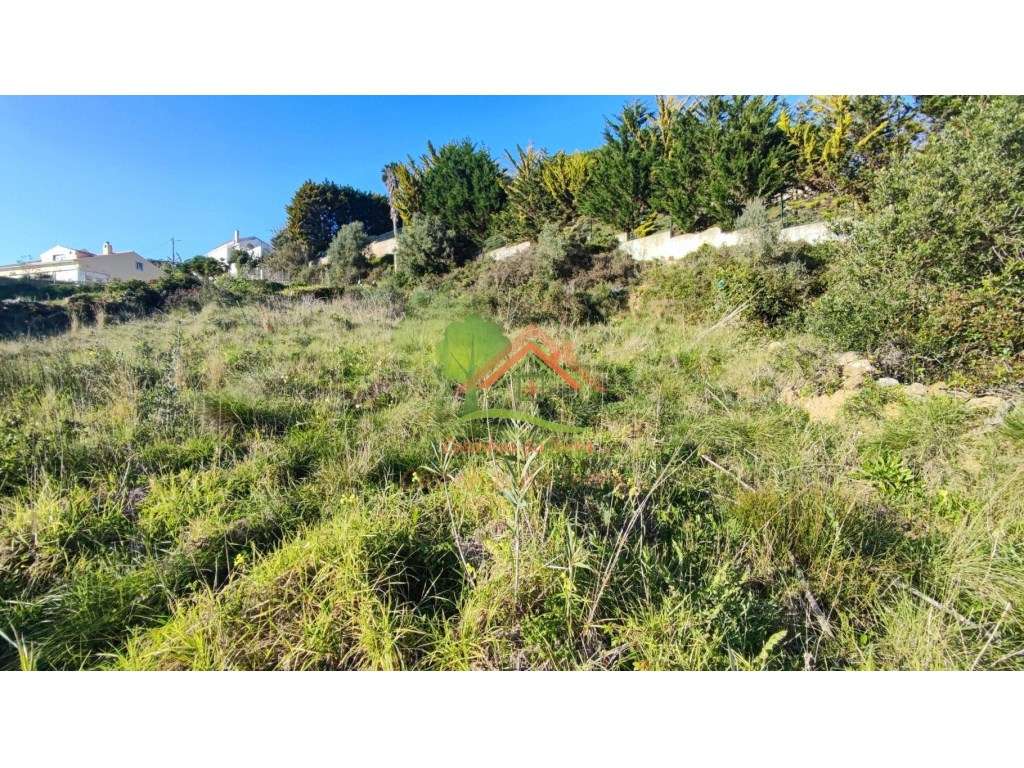 Terreno rústico perto da Praia de S. Julião - Grande imagem: 4/8