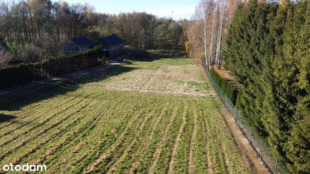 Budziwój działka 25 ar Wz 2 domy jednorodzinne - Pełny obrazek: 4/4