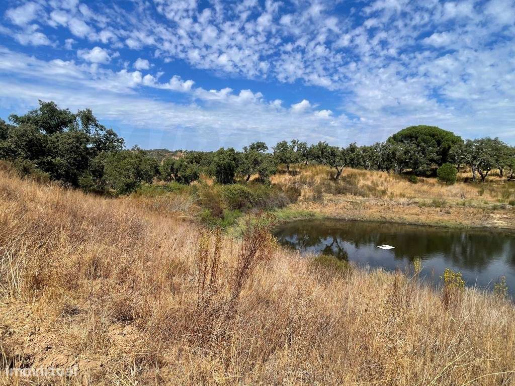 HERDADE COM 100 HECTARES E BASTANTE ARBORIZAÇÃO-41