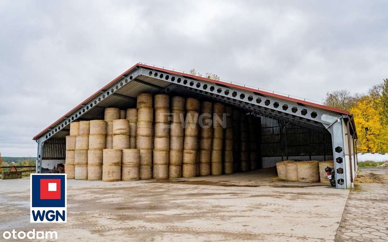 Na sprzedaż, Gospodarstwo Rolne- Ekologiczna Farma Mleczna, Wyczechowo-13
