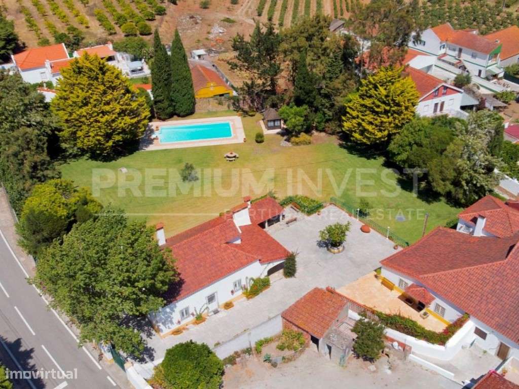 Passaporte Dourado para o paraíso em plena Costa de Prata - Grande imagem: 3/50