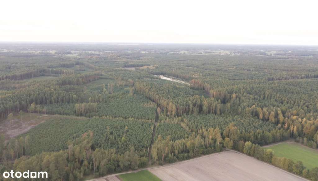 Sprzedam działkę pod budowę 45min od Warszawy-3