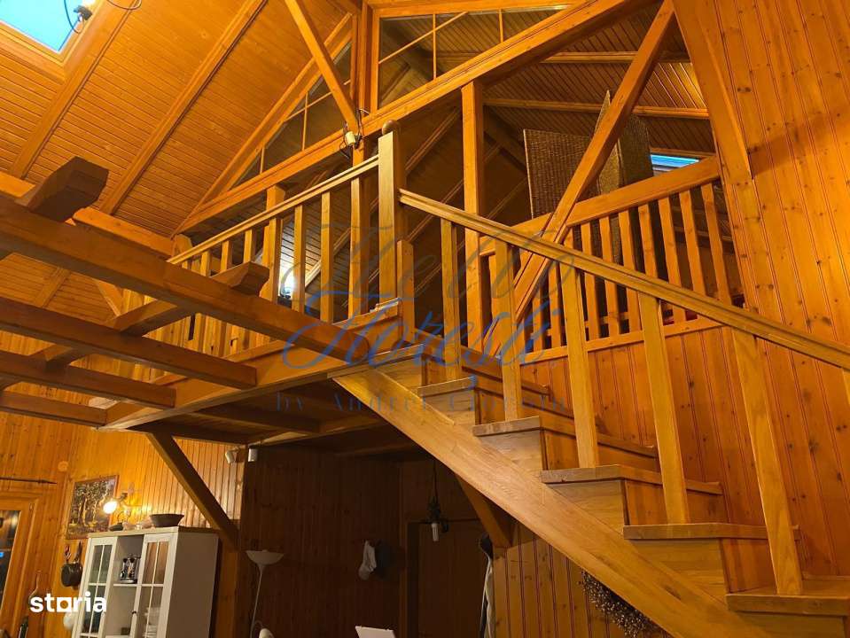 Casa SU 400 mp, teren 3000 mp, Faget - Imagine principală: 5/19