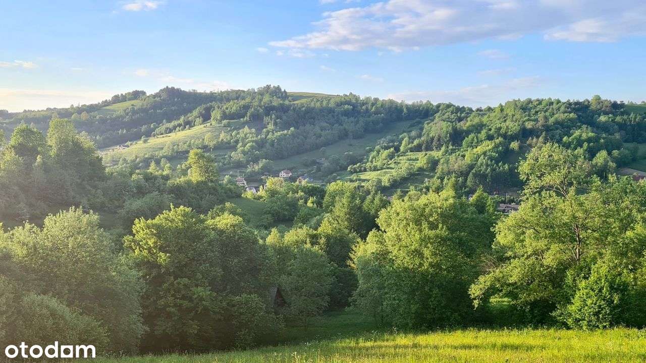 Działka, 9 700 m², Wołkowyja - Pełny obrazek: 5/9