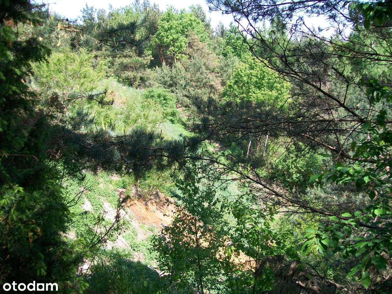 Zrębice gm.Olsztyn 03.ha , 1.2ha - Pełny obrazek: 5/6