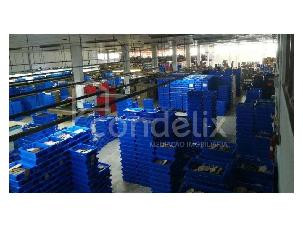 Pavilhão industrial com logradouro para venda em S. Martinho de Bou... - Grande imagem: 5/25