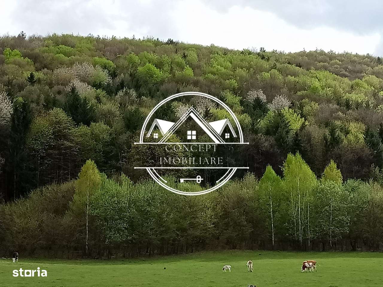 Teren intravilan de vanzare in Tocile, 3862 mp, pretabil investitie - Imagine principală: 5/8