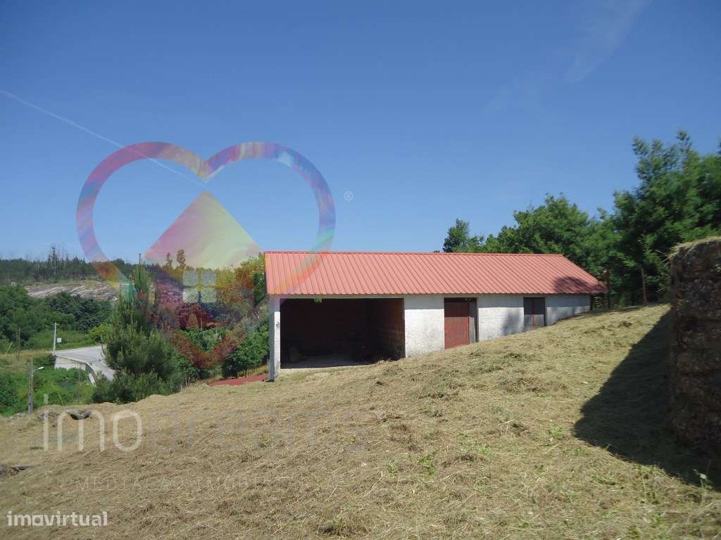 Quinta T6 em Santa Comba Dão - Viseu-54