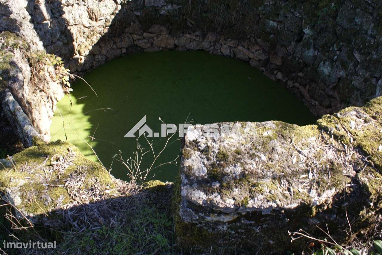 Oportunidade Única às Portas de Castelo Branco!-11