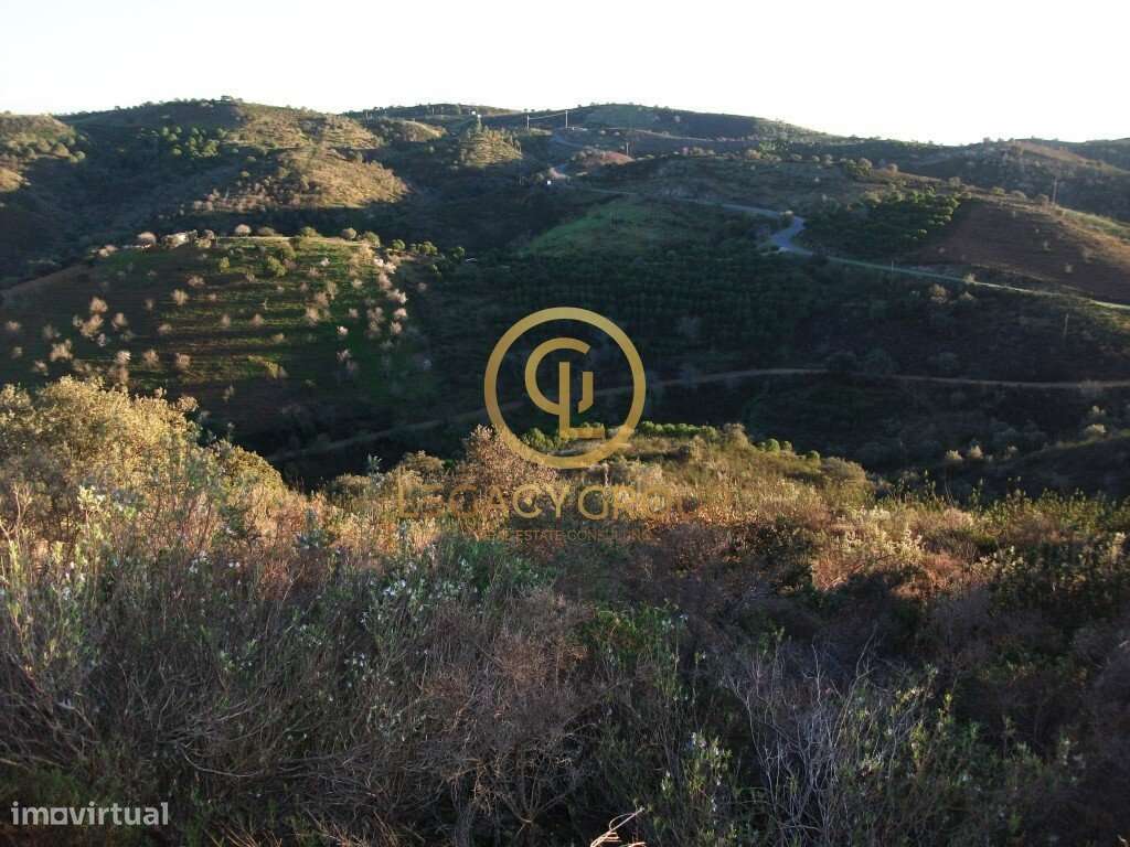 Terreno - Álamo - Alcoutim - Grande imagem: 4/8