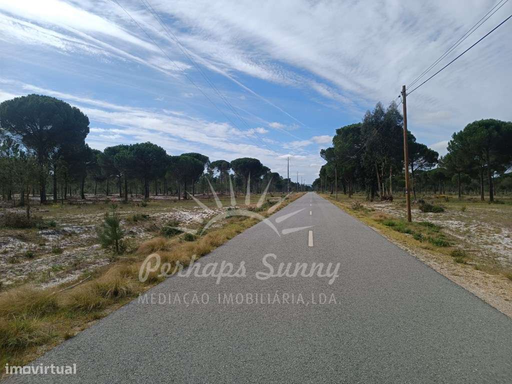 Herdade Bicas - Comporta-7