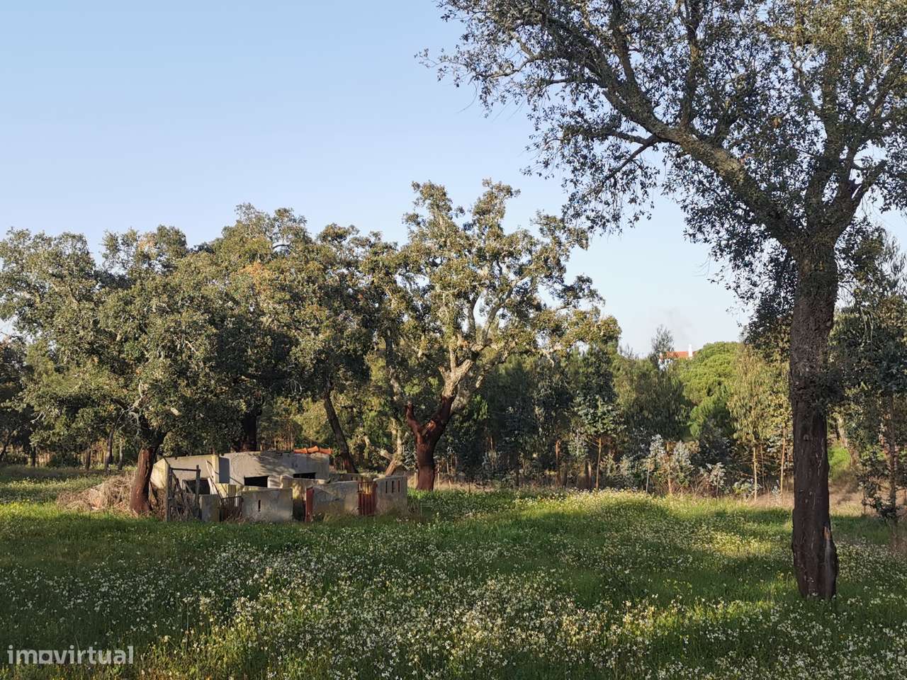 Moradia T2  Lamarosa de Coruche-14