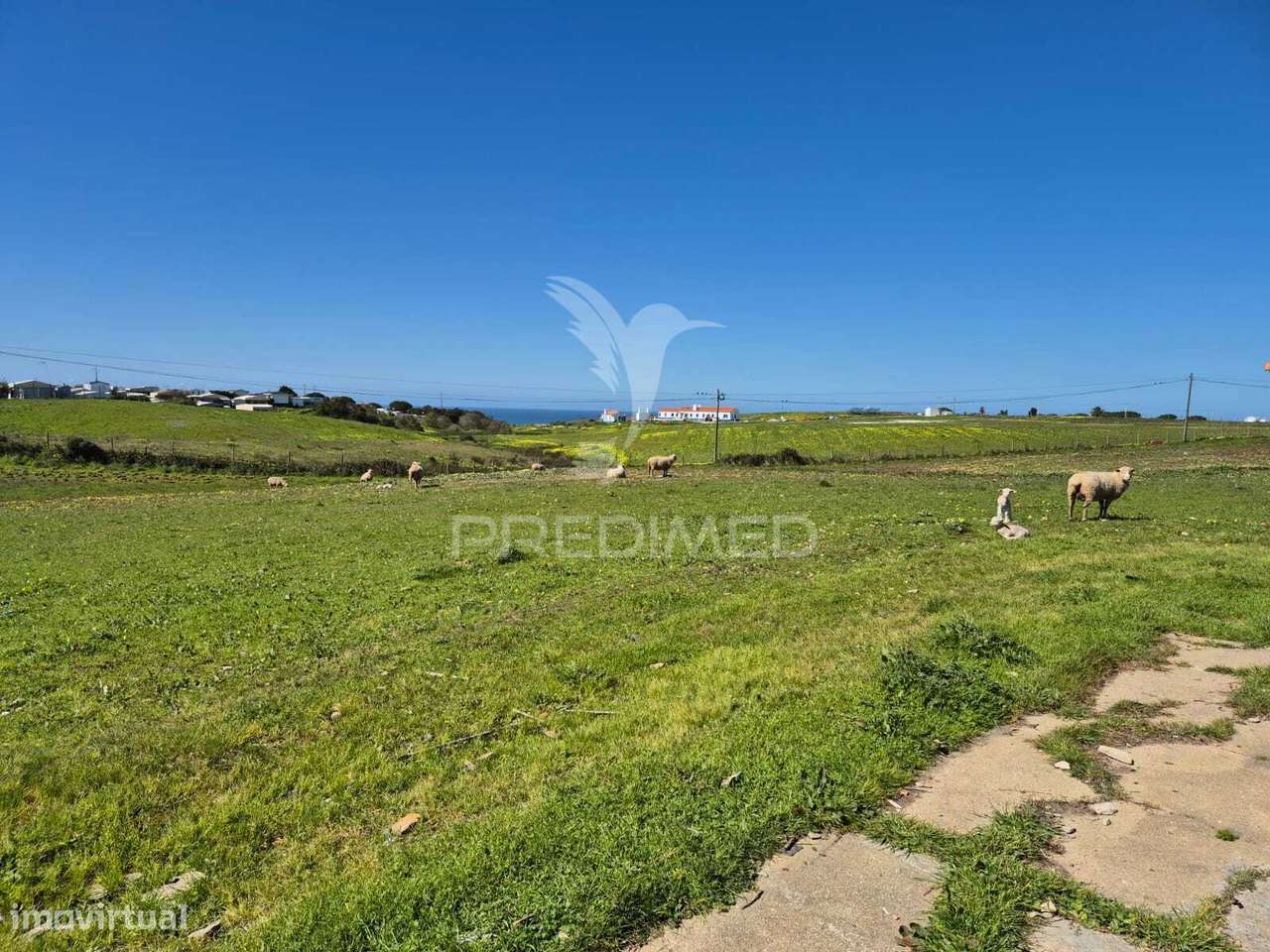 Terreno com 5,3 hc e habitação para reabilitar | Vista mar | Porto... - Grande imagem: 3/14