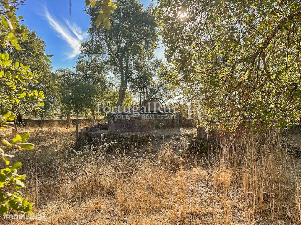 Quintinha com 1,2ha e ruína urbana em São Miguel Acha-27