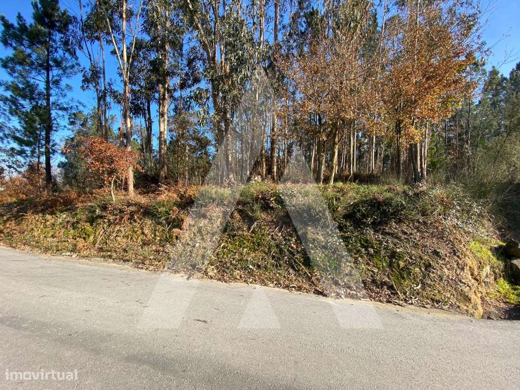 Terreno urbanizável próximo do Centro Histórico de Santa Maria da F... - Grande imagem: 3/5